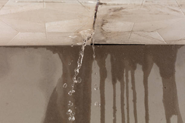 Professional Flood Damage Cleanup technician working in Mequon, WI